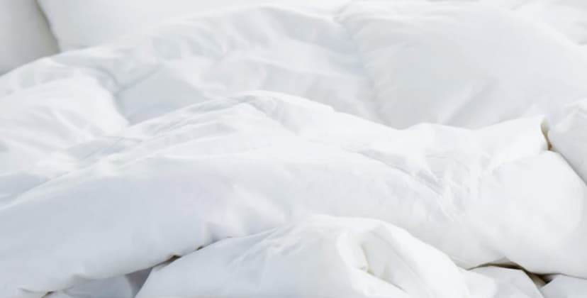 Best Duvet Inserts of 2025 - Best Eco-Friendly - Avocado Down Duvet Insert