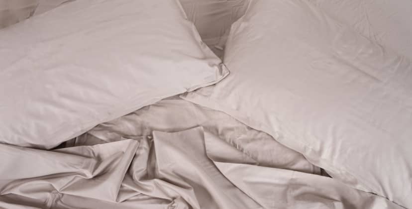 Best Egyptian Cotton Sheets - Best Luxury - Peacock Alley Emily Egyptian Cotton Sheet Set